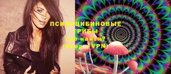 крисы Алексеевка