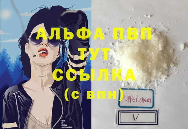 мет Алексин