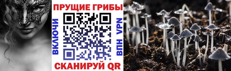 МЕГА ONION  Октябрьск  Галлюциногенные грибы Psilocybe 